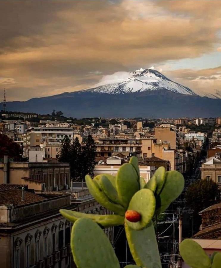 Catania Apartment Borgo Suite Autonomous 外观 照片